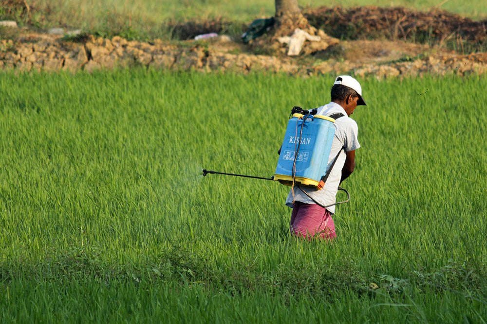 Pesticides: How Safe Are They, Really?